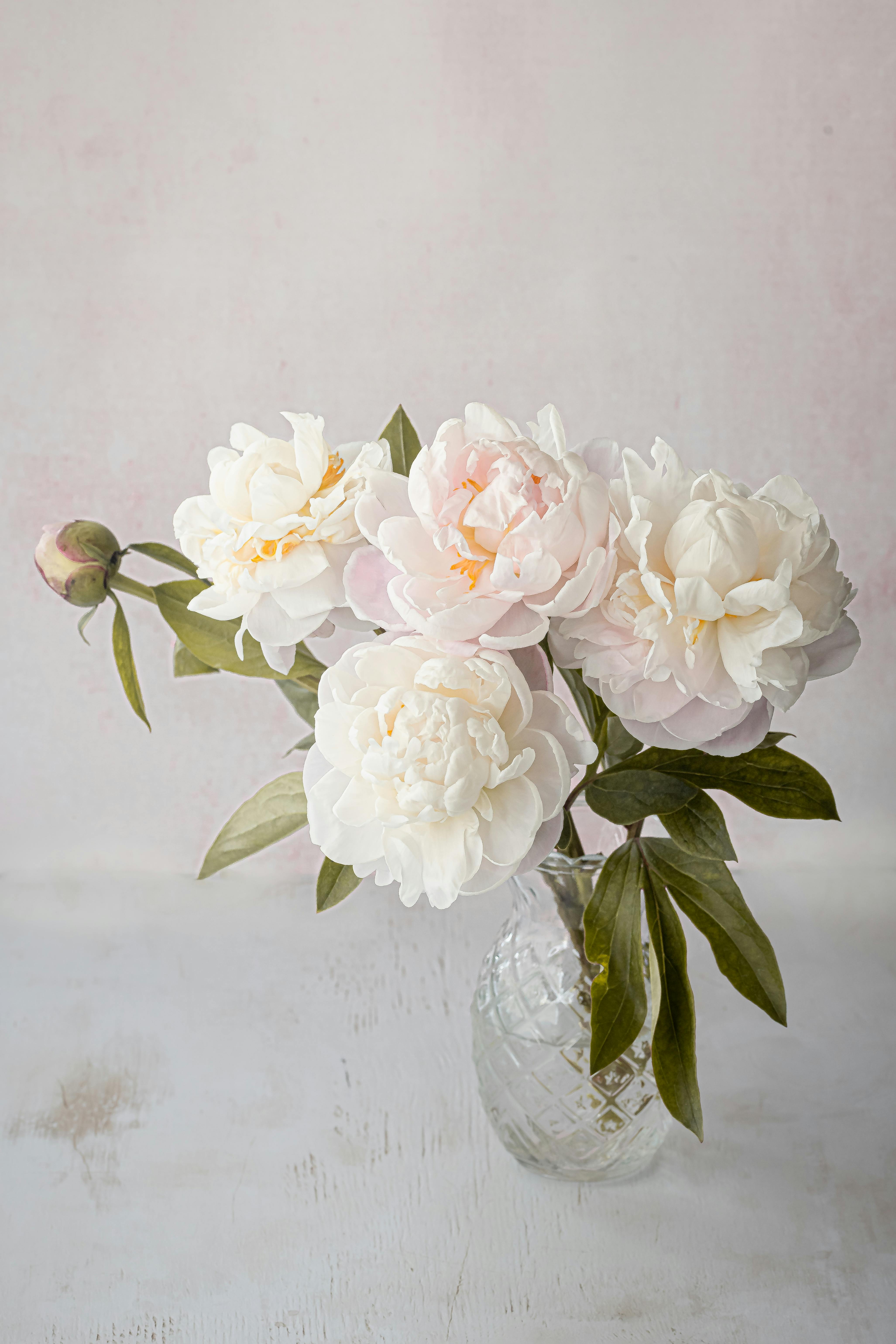 rosas2